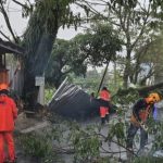 Cuaca Ekstrem di Tasikmalaya: Warga Diminta Waspada