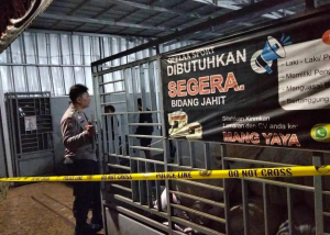 Sopir Ekspedisi Ngamuk, Siram Air Keras ke 9 Pegawai Konveksi di Tasikmalaya