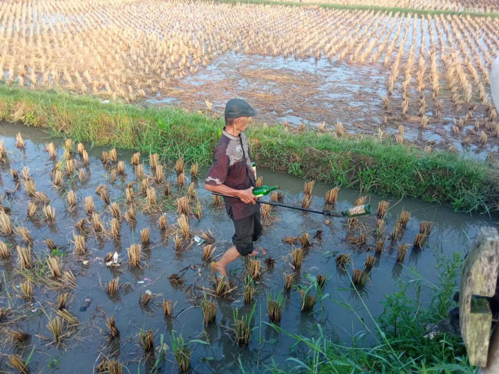 Botol Miras di Sawah Tasikmalaya