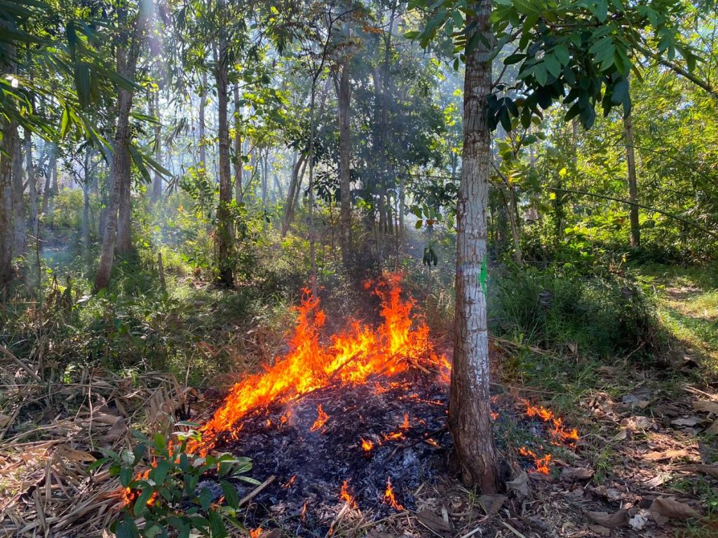 Kebakaran Lahan Ciamis