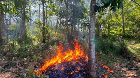 Kebakaran Lahan Ciamis