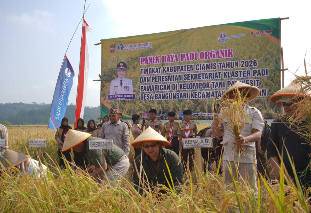 Inflasi Pangan Ciamis