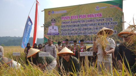Inflasi Pangan Ciamis